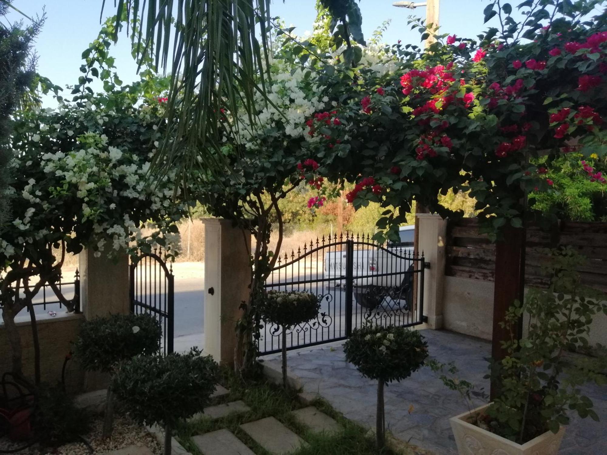 Villa Myria Paphos 客房 照片